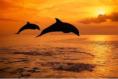 《咒术回战：战华双乱》公布 系列首部2vs2对战新游